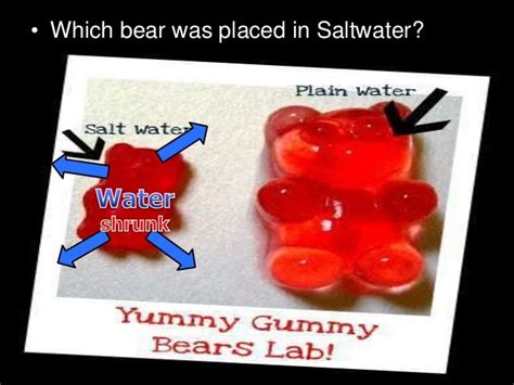 how are gummy bears similar to cells